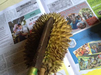durian3.jpg