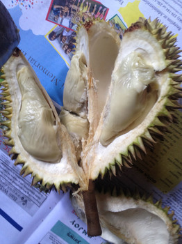 durian4.jpg