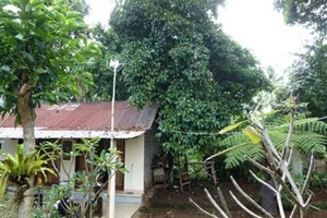 tegal-lantang7.jpeg