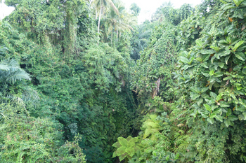 jembatan5.jpg