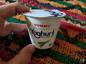 yogurt_aloevera.jpg
